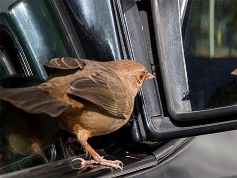 Câu đố hack não của Elon Musk: CNBC đã in ra giấy và dán chúng khắp Mahattan nhưng chỉ có 1 người trả lời đúng!-6