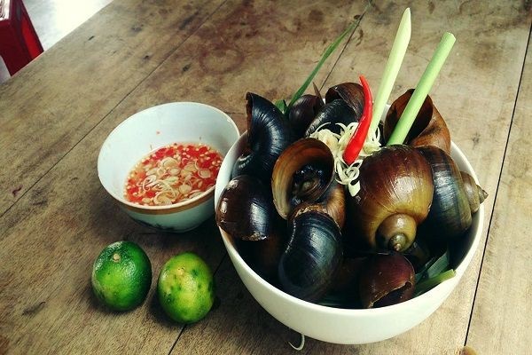 Ngon bổ là thế nhưng khi ăn ốc không được bỏ qua những lưu ý này để tránh rước họa vào thân-2