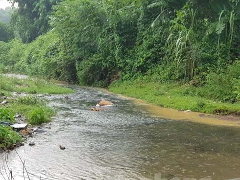 Vạn dân Hà Nội khốn khổ vì nước có mùi lạ: Chất bẩn từ đầu nguồn nước sông Đà?