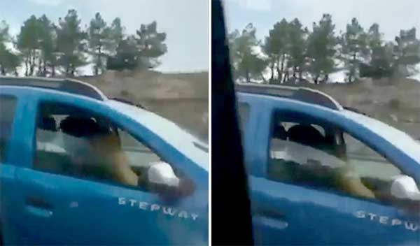 Tìm cảm giác lạ, cặp đôi mạo hiểm mây mưa khi đang lái xe khiến người đi đường hoảng hốt-1