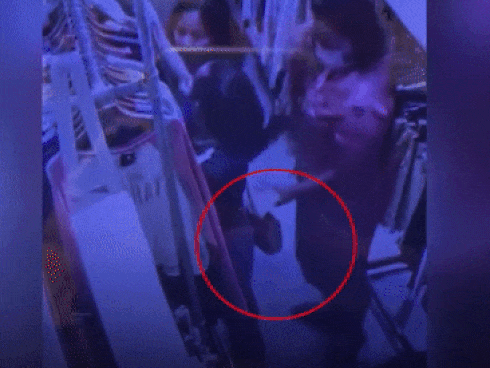 Hai thanh niên dùng súng điện trộm chó trong tích tắc-1