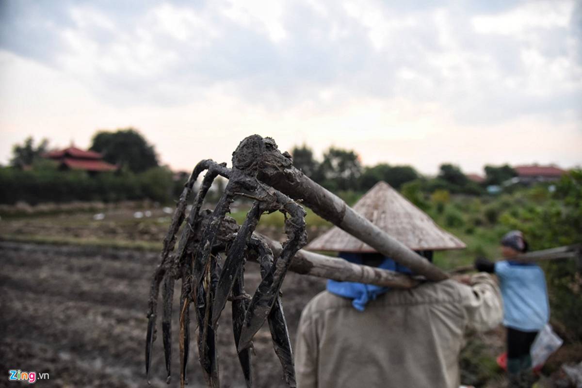 Biệt phủ, trang trại được sư Toàn xây dựng bên cạnh chùa Nga Hoàng-14