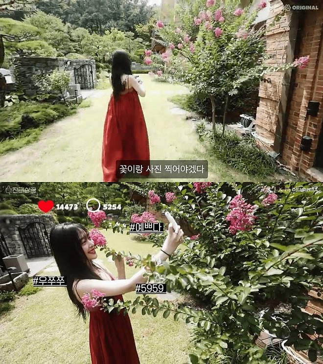 Những hình ảnh Sulli trong căn nhà nơi cô chọn kết thúc cuộc đời bằng cách tự tử khiến ai cũng xót xa-2