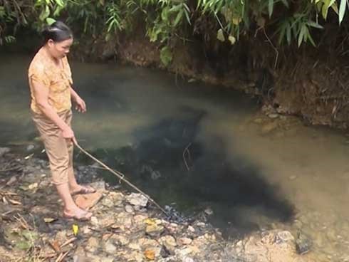 Viwasupco thừa nhận có váng dầu tại đầu nhà máy nước sông Đà