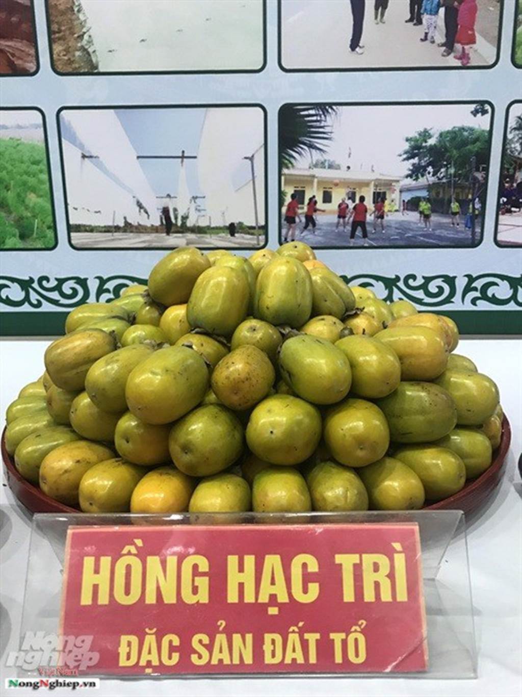 Tam đặc sản tiến Vua nổi danh đất Phú Thọ, có loại sắp tuyệt chủng-7