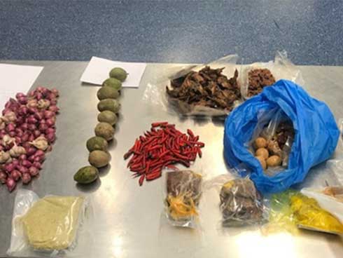 Mang 10kg thịt chó vào Nhật Bản, 3 người Việt bị cảnh sát bắt giữ-2