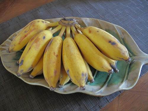 Mua chuối về cho lên bếp, luộc ăn thay cơm, tuần trước 50kg cuối tuần sau chỉ còn 45kg-2