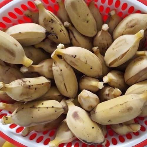 Mua chuối về cho lên bếp, luộc ăn thay cơm, tuần trước 50kg cuối tuần sau chỉ còn 45kg-3