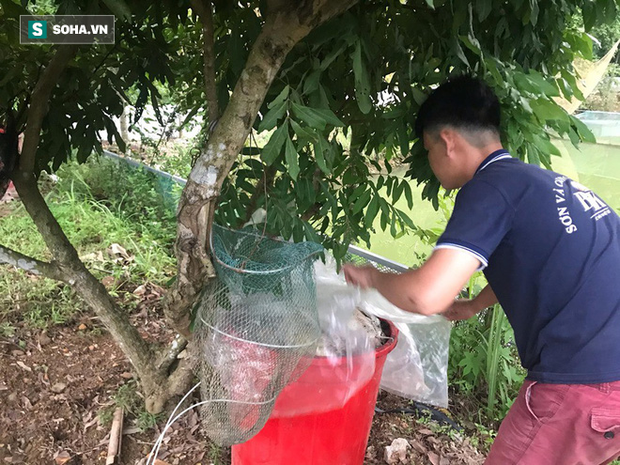 Nhân chứng kể việc phát hiện dầu thải đổ trộm xuống suối đầu nguồn nhà máy nước sông Đà-3