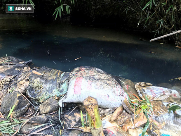 Nhân chứng kể việc phát hiện dầu thải đổ trộm xuống suối đầu nguồn nhà máy nước sông Đà-4