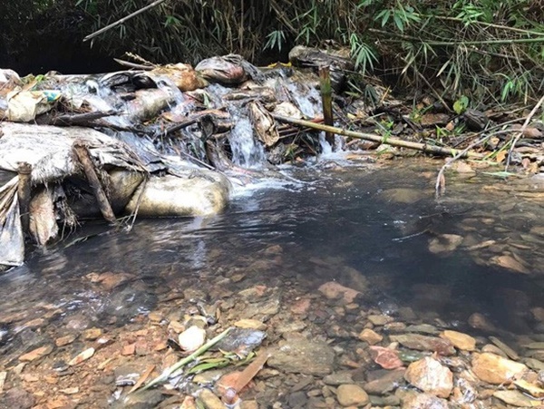 Nước sạch” tại Hà Nội nhiễm styren cao gấp 3,65 lần bình thường: Người dân nên làm những việc này để bảo vệ sức khỏe-1