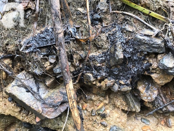 Kết quả xét nghiệm chính thức vụ nước có mùi khét ở Hà Nội: Chất Styren từ dầu thải gây ra có thể gây ung thư-1