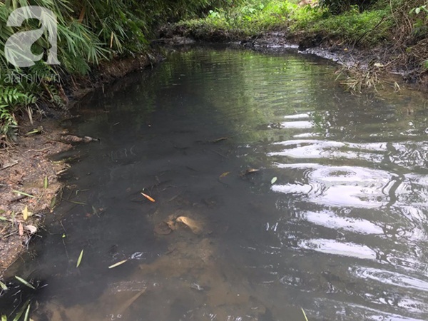 Kết quả xét nghiệm chính thức vụ nước có mùi khét ở Hà Nội: Chất Styren từ dầu thải gây ra có thể gây ung thư-2