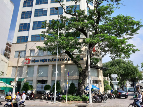 Người phụ nữ tử vong sau khi phẫu thuật căng da mặt tại BV thẩm mỹ Kangnam là Việt kiều Mỹ-1