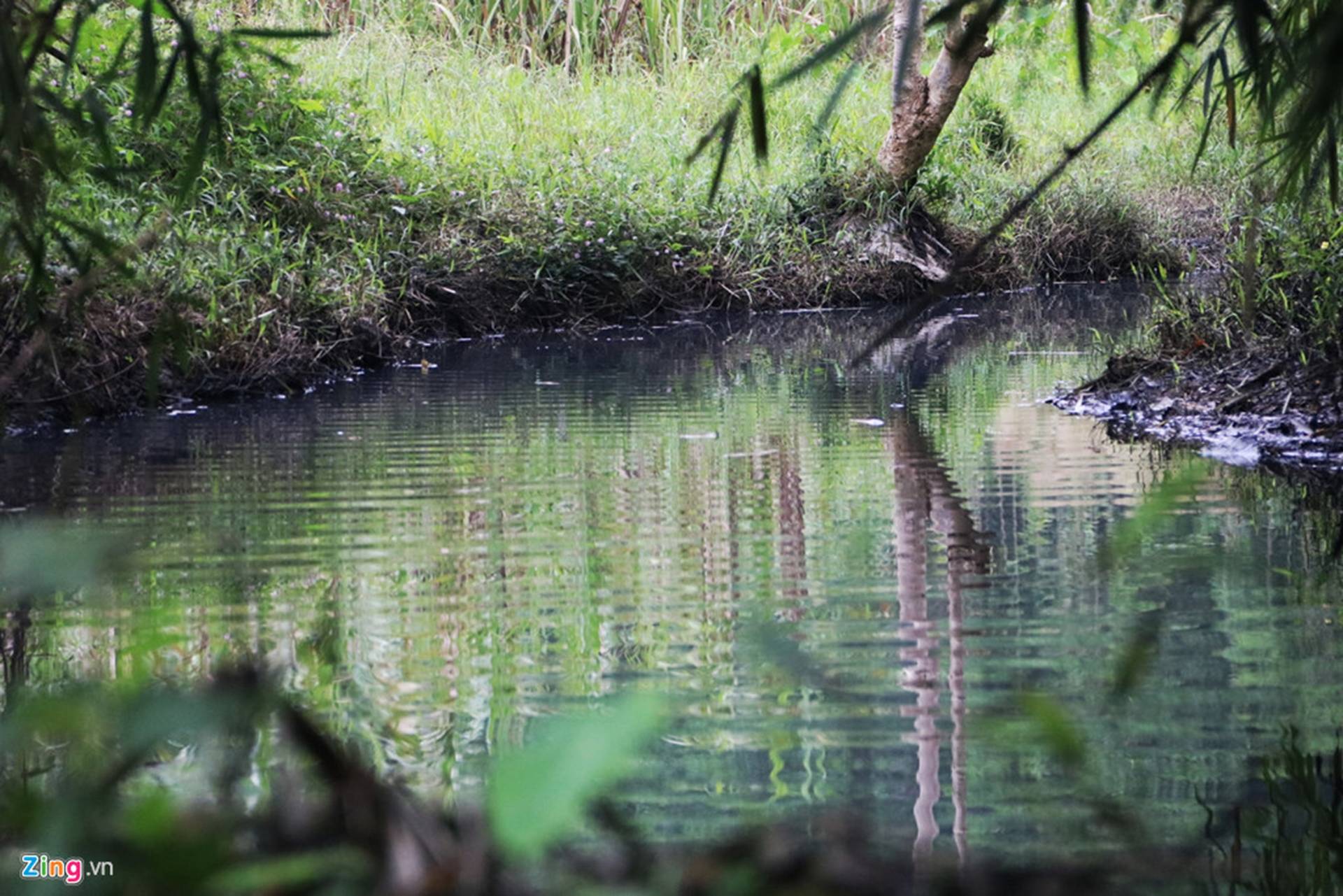 Dòng suối gần nhà máy nước sông Đà vẫn đen kịt sau 1 tuần bị đổ dầu-1