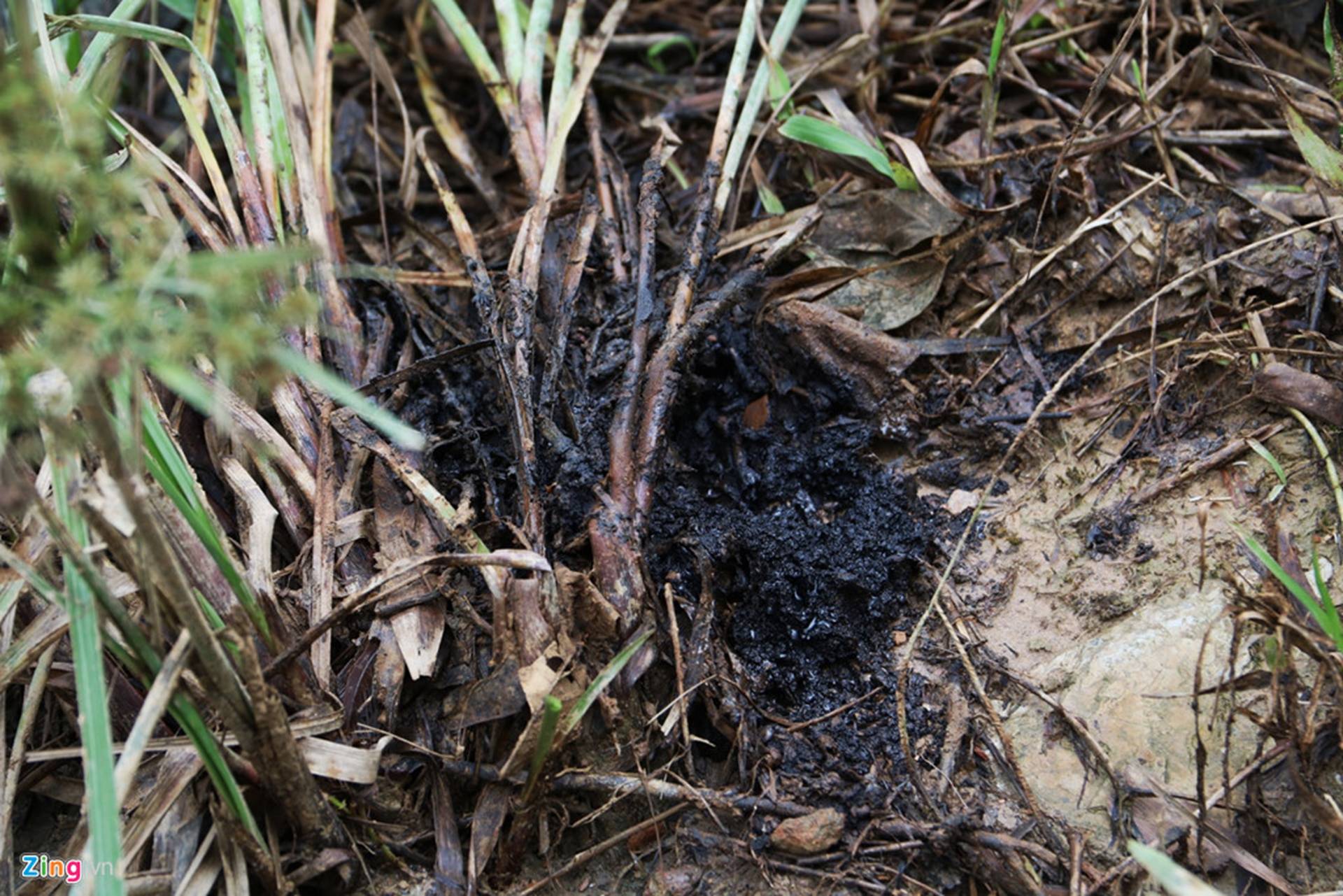 Dòng suối gần nhà máy nước sông Đà vẫn đen kịt sau 1 tuần bị đổ dầu-5