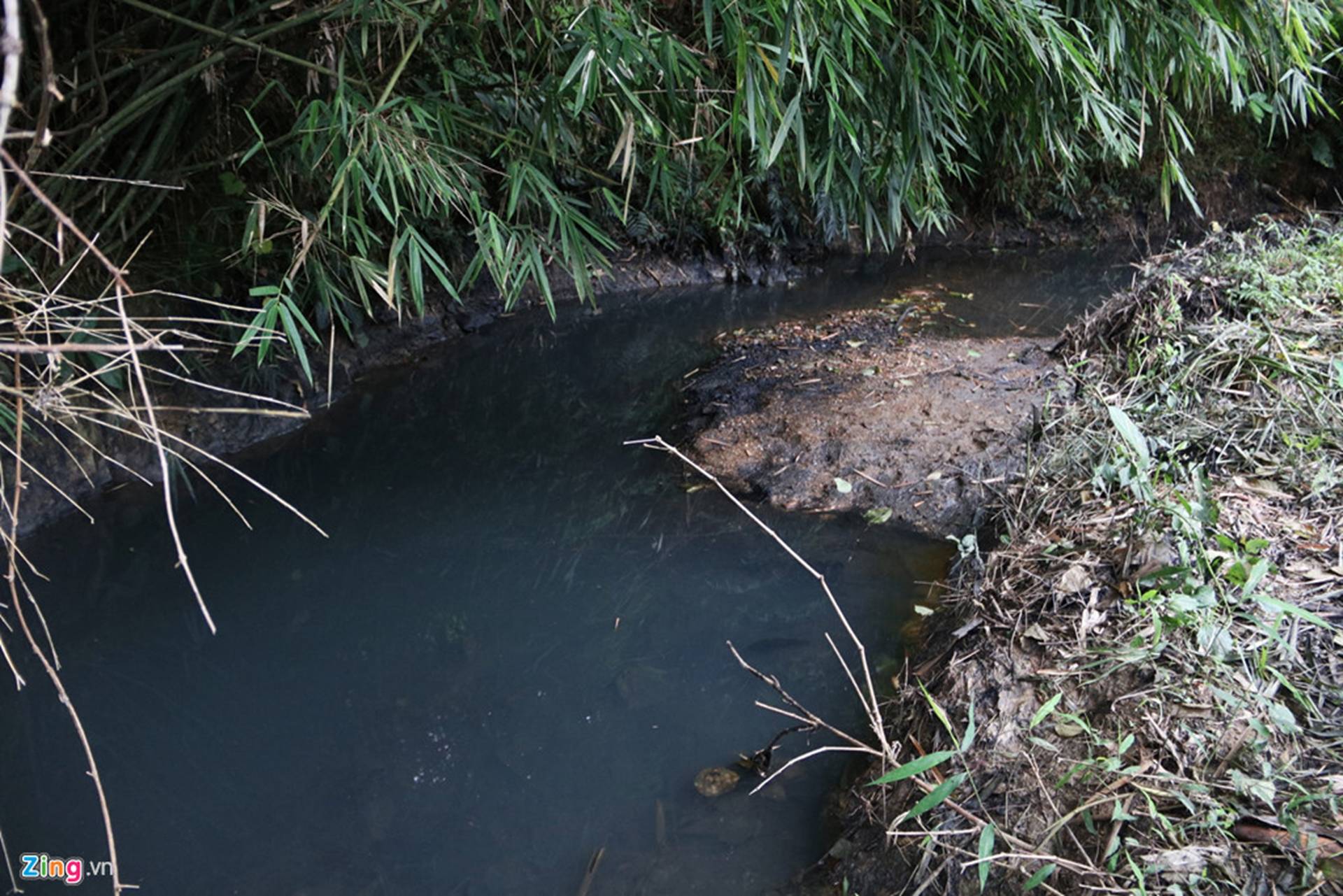 Dòng suối gần nhà máy nước sông Đà vẫn đen kịt sau 1 tuần bị đổ dầu-7