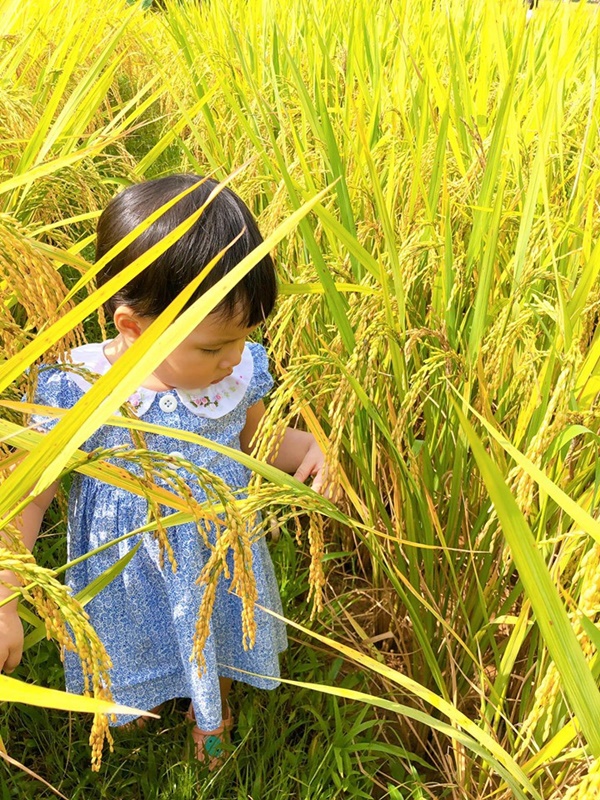 Bầu tháng cuối vẫn tung tăng đưa 3 con lên núi chơi, MC Minh Trang khiến hội chị em ngưỡng mộ vì hạnh phúc yên bình-6