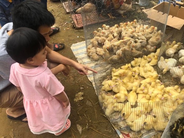 Bầu tháng cuối vẫn tung tăng đưa 3 con lên núi chơi, MC Minh Trang khiến hội chị em ngưỡng mộ vì hạnh phúc yên bình-11