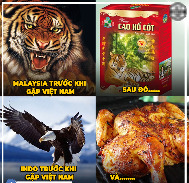 Cộng đồng mạng hả hê chế ảnh Việt Nam hạ đẹp Indonesia-12