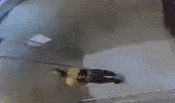 Nữ sinh 15 tuổi chết bất thường, nhà trường quyết giấu nhẹm danh tính nghi phạm chỉ tiết lộ hình ảnh cuối cùng đáng ngờ của nạn nhân-2