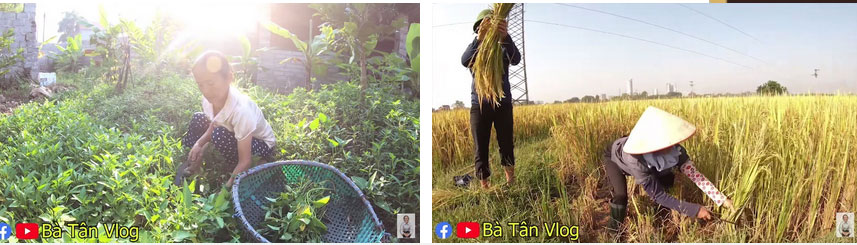 Giữa lùm xùm bị tố này tố kia, Bà Tân Vlog bất ngờ được dân mạng bênh chằm chặp vì tìm lại được đoạn clip này-5