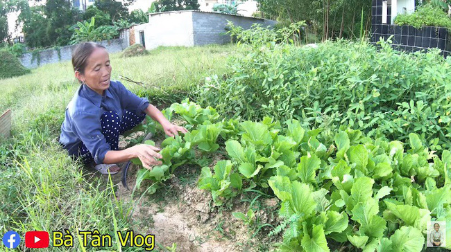 Giữa lùm xùm bị tố này tố kia, Bà Tân Vlog bất ngờ được dân mạng bênh chằm chặp vì tìm lại được đoạn clip này-7