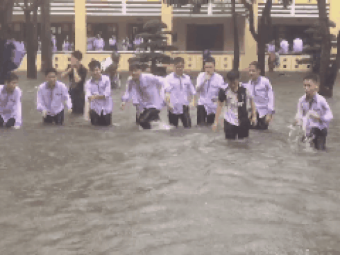 Mưa lớn ở Nghệ An, nước chảy cuồn cuộn như sóng trên đường-1