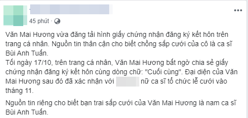 Phản hồi chính thức từ phía Văn Mai Hương trước tin đồn chồng sắp cưới là Bùi Anh Tuấn-3