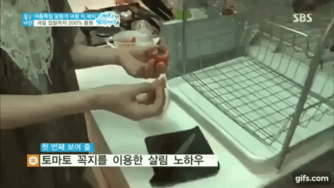 Mẹo hay với cà chua đài SBS Hàn Quốc giới thiệu khiến khán giả mắt chữ O, miệng chữ A-1