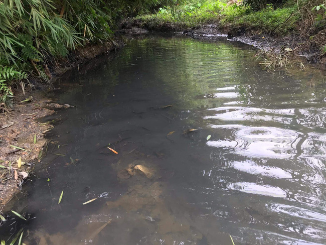 NÓNG: Triệu tập người nghi liên quan đến việc đổ dầu trộm, gây ô nhiễm nguồn nước sông Đà-2