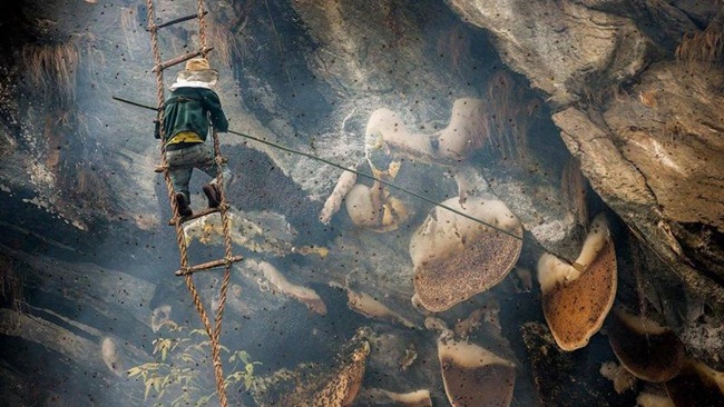 Liều mạng lấy thứ bán 4 triệu/kg, sẩy chân là tan xương nát thịt-8