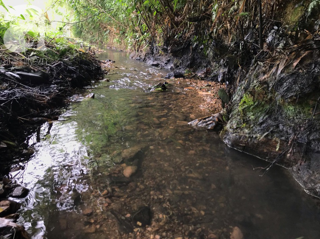 NÓNG: Các đối tượng đổ dầu trộm xuống sông Đà gây ô nhiễm nước sinh hoạt của người dân Hà Nội khai gì?-1