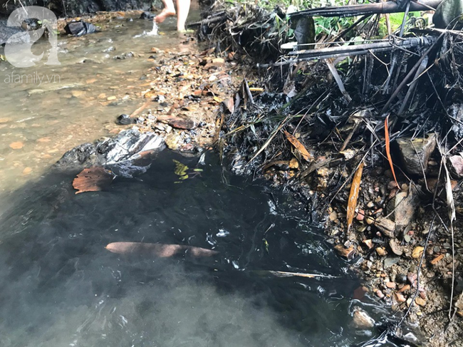 NÓNG: Các đối tượng đổ dầu trộm xuống sông Đà gây ô nhiễm nước sinh hoạt của người dân Hà Nội khai gì?-2