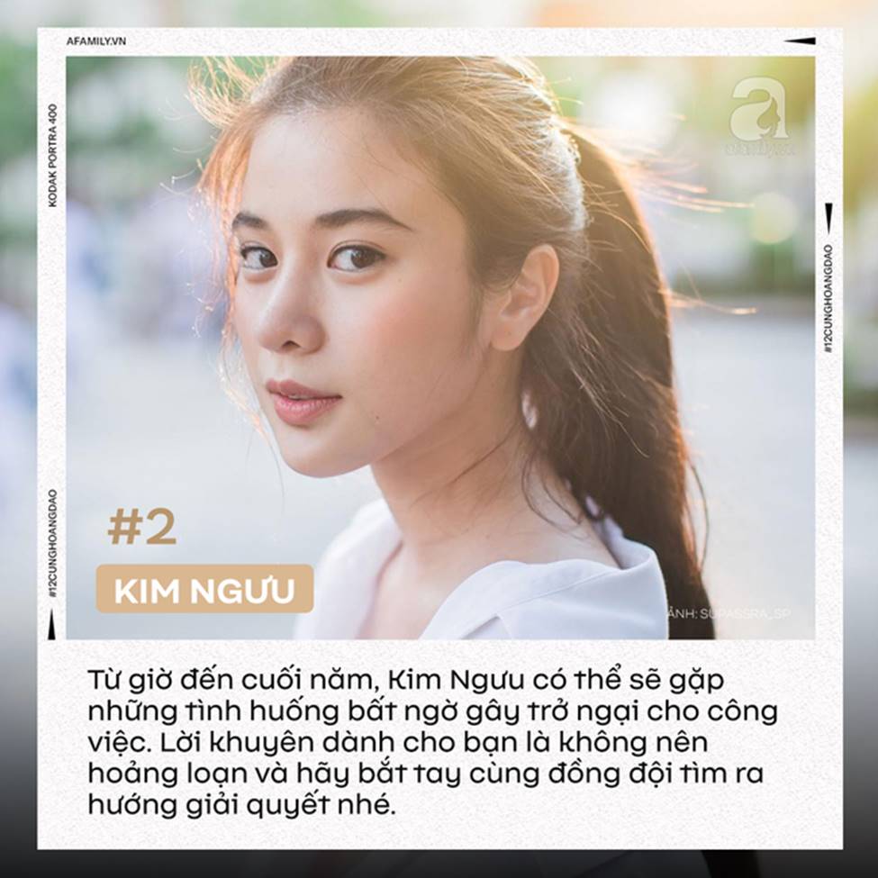 Từ giờ đến cuối năm, 12 cung Hoàng đạo cần lưu ý những điều này để sự nghiệp hanh thông, thuận buồm xuôi gió-2