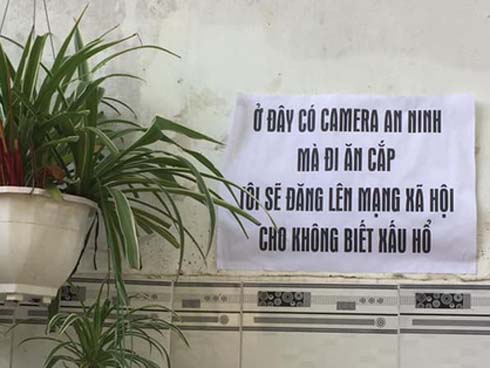 Mải mê chọn hoa quả bên đường, người phụ nữ bị trộm cậy cốp xe móc luôn túi xách mà không hề hay biết-2