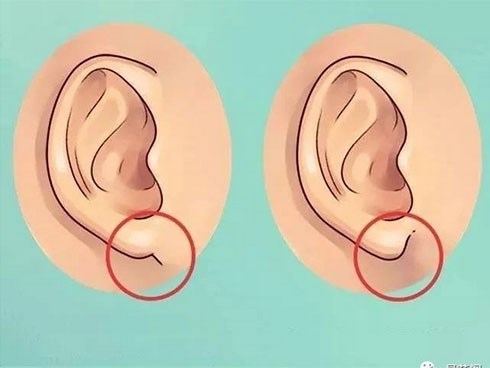 Quý nhân có phúc tướng, phụ nữ sở hữu đặc điểm này xác định mang mệnh Phượng Hoàng, cuộc sống hậu vận viên mãn sung túc
