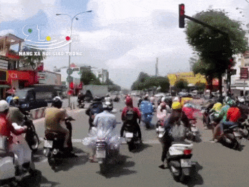 Clip: 3 loại hoa chỉ giới siêu giàu mới dám mua tặng chị em-1