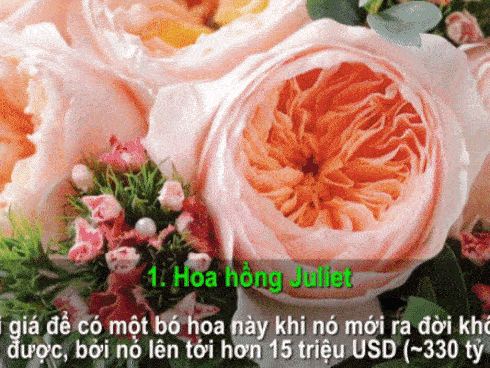 Yêu râu xanh theo sau cô gái ngửi mông gây phẫn nộ-1