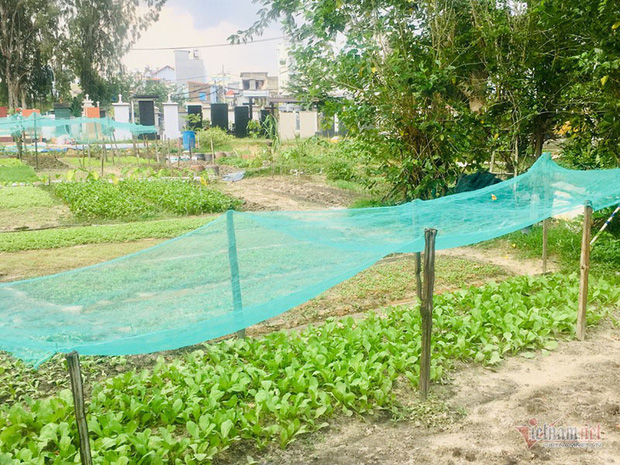 Chuyện lạ ở khu đất vàng triệu đô Sài Gòn, dân khốn khổ vì mùi tử thi-3