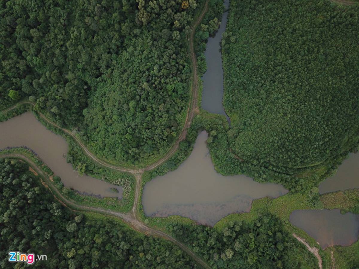 Nước thải từ trang trại lợn có chảy vào nhà máy nước sông Đà?-2