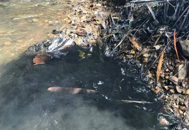 Bất thường đường đi của xe ô tô chở dầu thải đổ xuống nguồn nước sông Đà-5