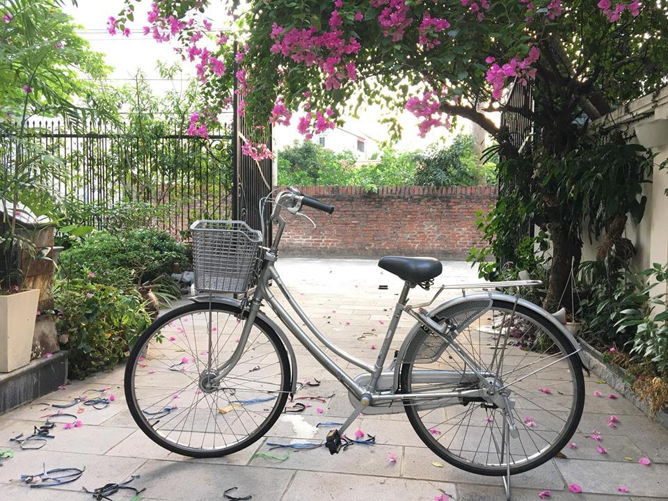 Xe mini Nhật, huyền thoại 1 thời, trôi nổi nơi đâu-1