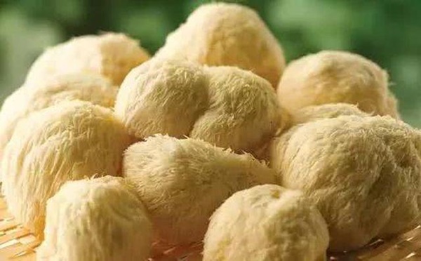 5 loại nấm tốt nhất cho sức khỏe ngừa chất gây ung thư loại 1, giúp trẻ thông minh hơn-3