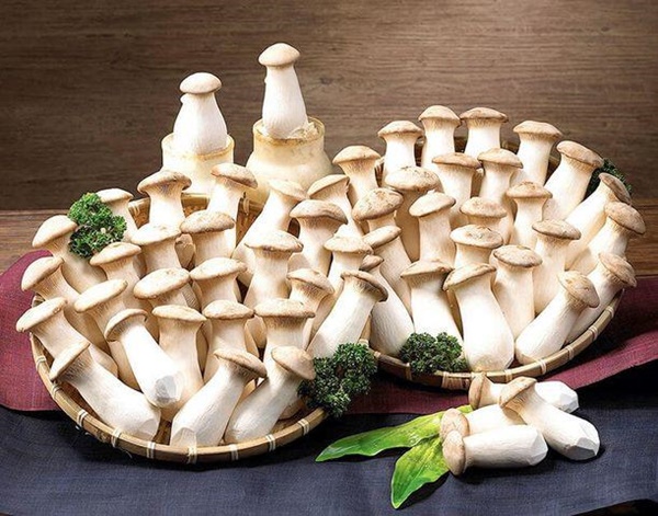 5 loại nấm tốt nhất cho sức khỏe ngừa chất gây ung thư loại 1, giúp trẻ thông minh hơn-4