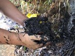 Bể nước chung cư Golden Land Hà Nội đầy dầu đen, bốc mùi khó chịu trong quá trình thau rửa sau sự cố nước bị nhiễm bẩn-14