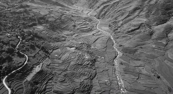 Bên trong trang trại trẻ sơ sinh và hình thức buôn bán tình dục mới: Phụ nữ Việt bị lừa sang nước ngoài để mang thai hộ-2