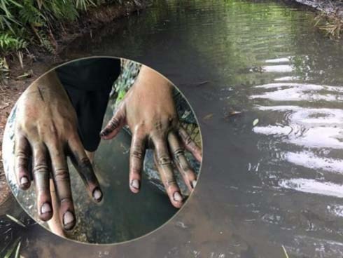 Hé lộ cuộc gọi của 