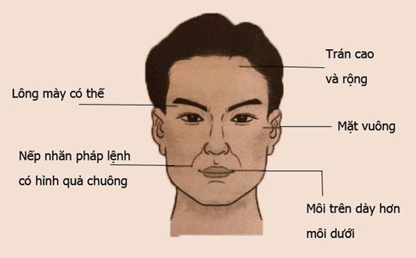 Muốn biết chồng bạn có tướng làm quan, thành đại gia hay không, hãy nhìn vào 5 đặc điểm dưới đây-1