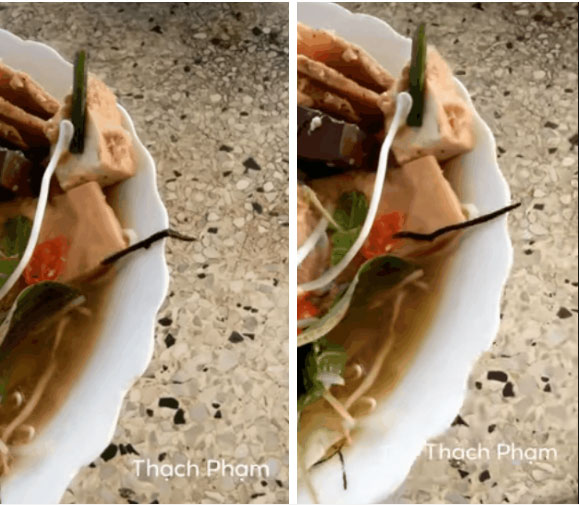 Chủ quán bảo rau sạch lắm cho đến khi đặt bát bún riêu lên bàn, chàng trai hoảng hồn nhìn thấy sinh vật lạ bò ngoe nguẩy-1